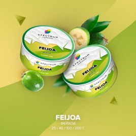 Табак для кальяна Spectrum Classic Feijoa, 25 гр